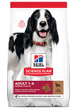 Hill's Science Plan Adult Medium lam & rijst 12 kg