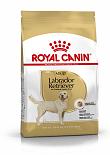 Royal Canin hondenvoer Labrador Retriever Adult 12 kg