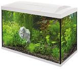 SuperFish aquarium Start 100 Tropical kit wit