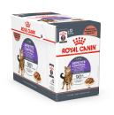 Royal Canin kattenvoer Appetite Control Care in gravy 12 x 85 gr