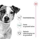 Royal Canin Hondenvoer Mini Adult 12 x 85 gr