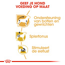 Royal Canin hondenvoer Dachs-hund Adult 12 x 85 gr