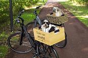 Beeztees houten fietsmand Touring met kap