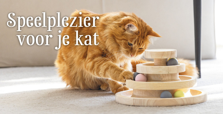 Speelplezier voor je kat