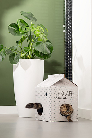 Beeztees Kittenhuis Escape Multi