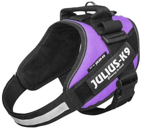 Julius K9 IDC Powerharness purple