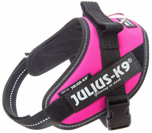 Julius K9 IDC Powerharness dark pink