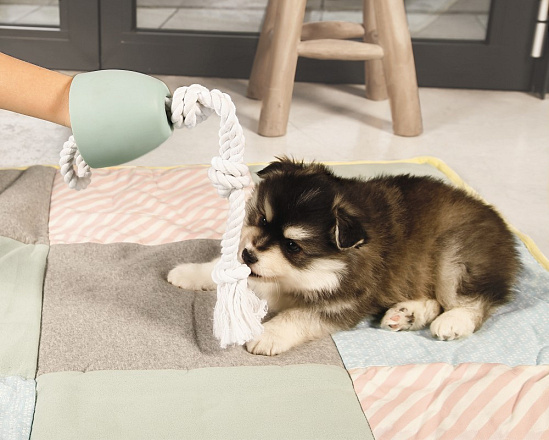 Beeztees Puppy flostouw Pullina groen