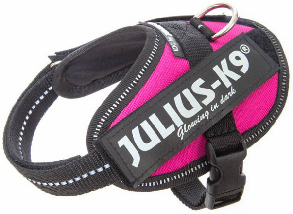 Julius K9 IDC Powerharness dark pink