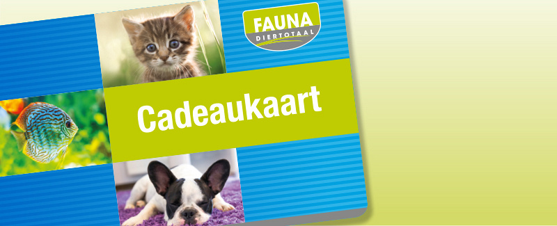 Verras iemand met onze cadeaukaart!